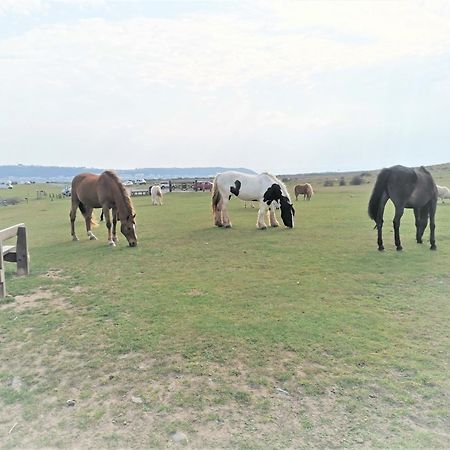 Greenways Valley Holiday Park Great Torrington Eksteriør bilde