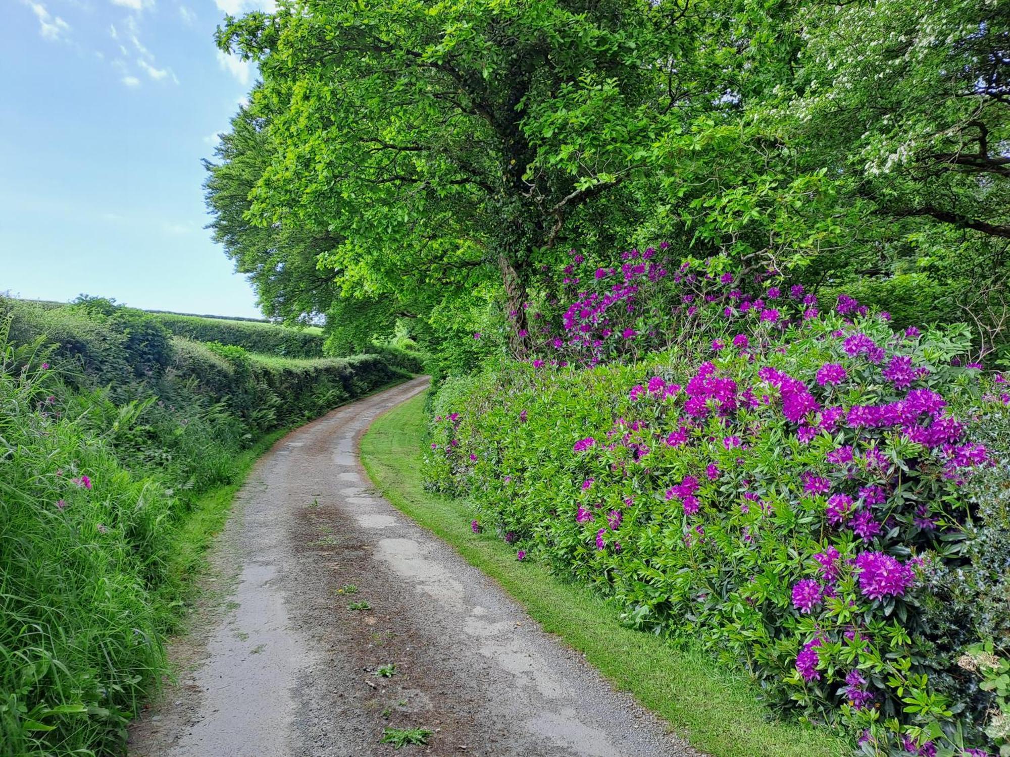 Greenways Valley Holiday Park Great Torrington Eksteriør bilde